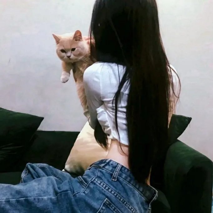 猛龙过江